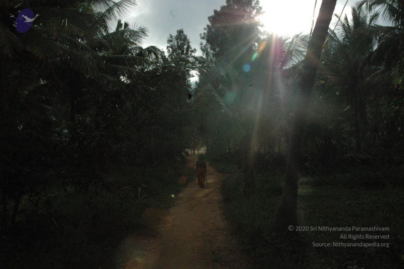 File:20061006 Photo 1042 1Pmr-yzbZe0ldG8Qk4d1l5Zm8ZvqQlLrA.JPG