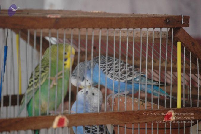 20061006 Photo 1184 1YXht61ZYLN1HVfDBoH4D2Oy5dI5tCxS5.JPG