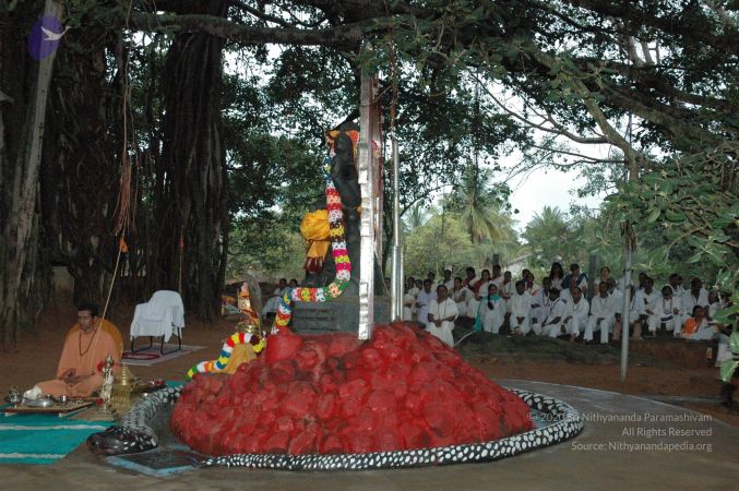 20061006 Photo 1203 1JlW2-q8Gw91c0sjs2Q7kTXD4kCx0cEo7.JPG