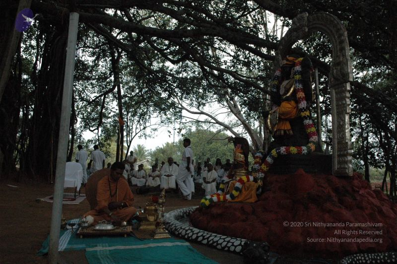 File:20061006 Photo 1233 1Z-CRits9FeyMgpxLiTGi7uuKDmEh3R3X.JPG