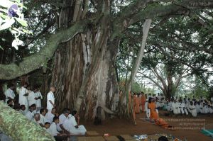 20061006 Photo 1297 1GDU41908xcbHVXenP118LwxEVkSAd7PR.JPG