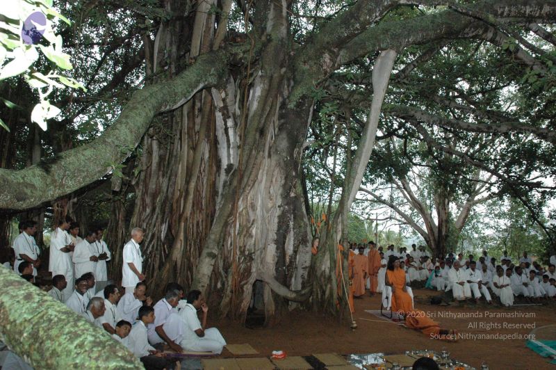 File:20061006 Photo 1297 1GDU41908xcbHVXenP118LwxEVkSAd7PR.JPG