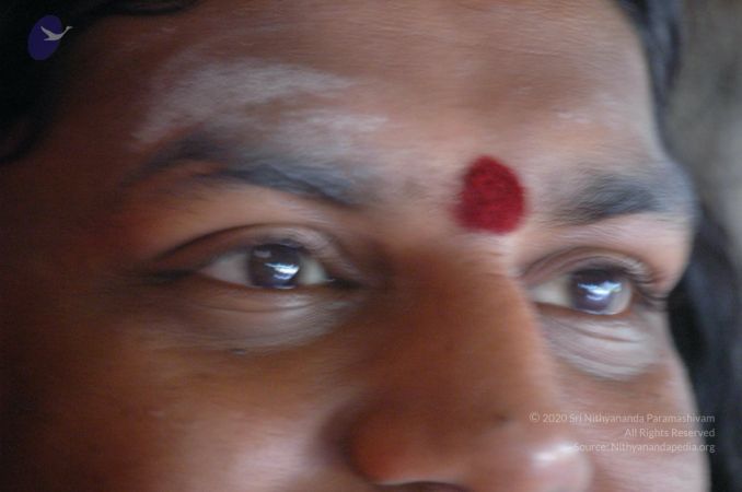 20061007 Photo 1122 1FA60PBo-9wzh7AfmR6nlS82o-nYorBdG.JPG