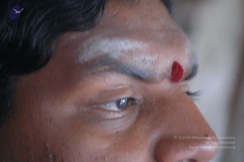 File:20061007 Photo 1126 1-YdWNm-N27TF5vHa-ikYFQ5 bvS56Mv-.JPG