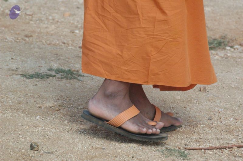 File:20061007 Photo 1176 1Nc83EopMT-yT4cc05M6cB GuMm-816vP.JPG