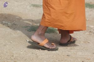 20061007 Photo 1180 1sDgikxS4wXS66vgjfbDCeJ0HFgy1JTnN.JPG