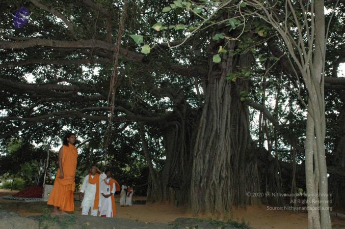 20061007 Photo 1418 17kLlPwjUUUEVNcPpPkQOBjW8Kijcnmd3.JPG