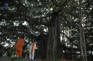 20061007 Photo 1423 1PKdqZGihGa3d6GvaZC2W1YYh 1-ZEXk0.JPG