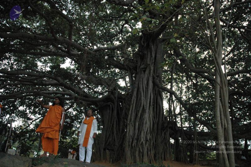 File:20061007 Photo 1423 1PKdqZGihGa3d6GvaZC2W1YYh 1-ZEXk0.JPG