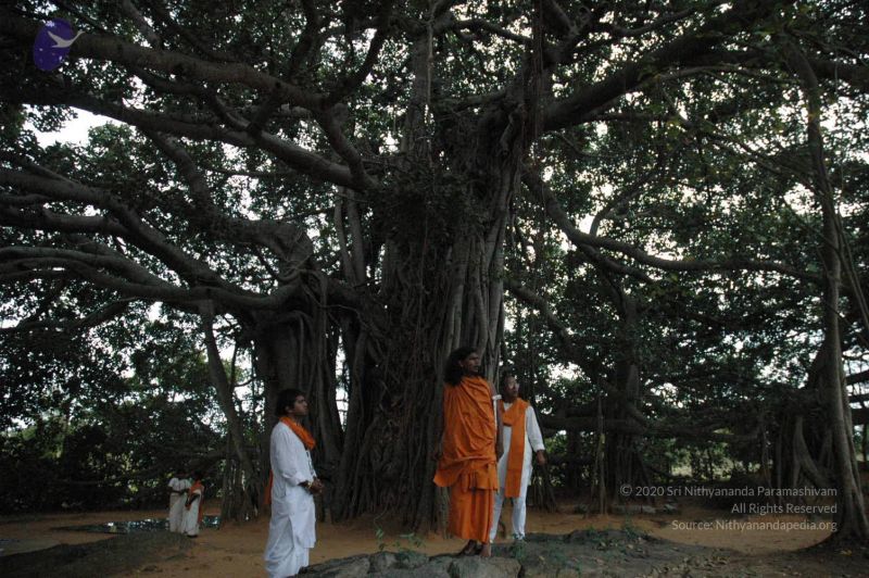 File:20061007 Photo 1424 1FzbWR21LcUU-746Ze0LXNAF pvNbx EH.JPG