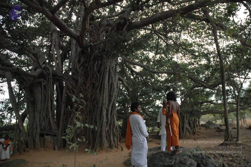 File:20061007 Photo 1426 1WJPGORqa025FvDhTtyCLtR8bVy8mbzGk.JPG