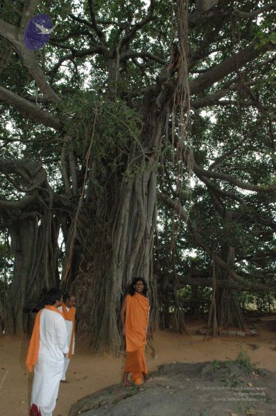 File:20061007 Photo 1430 1JDUNCnr3TmzRybcM-WkUH2sQDKao4eO1.JPG