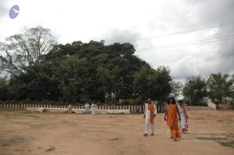 File:20061007 Photo 1449 1globO2tY9ZC3qcZsGyhjnxxhiNR9mcOe.JPG