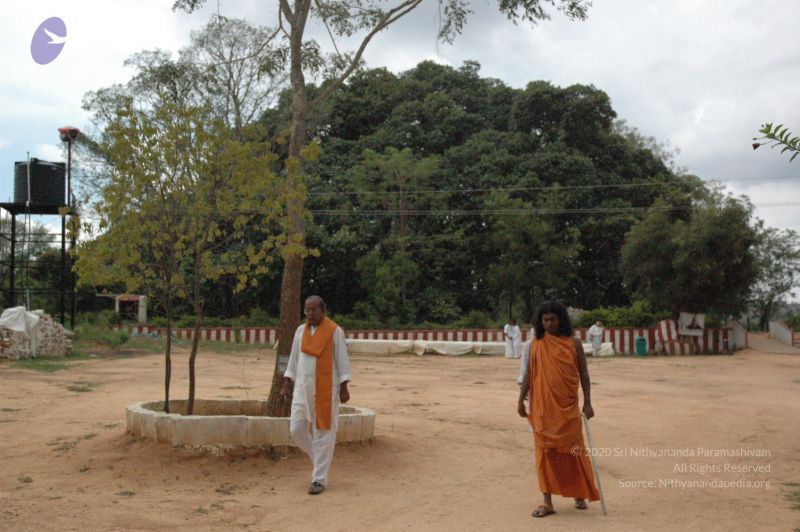 File:20061007 Photo 1452 17vnc5Tumf3auSF7JTAQMcijOftsqIcKi.JPG