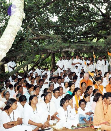 20061008 DSC 0149 CMP WM 0011.jpg