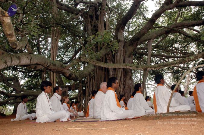 20061011 DSC 2013 CMP WM 0011.jpg