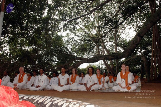 20061011 DSC 2064 CMP WM 0011.jpg