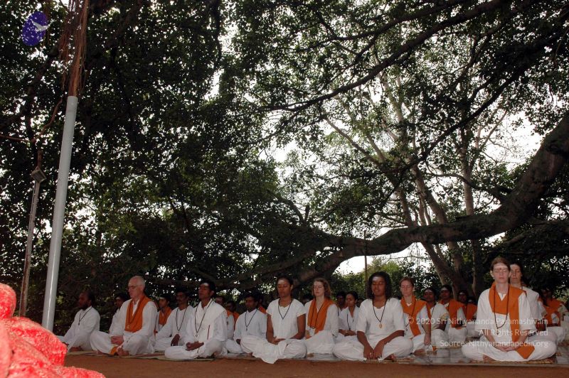 File:20061011 DSC 2066 CMP WM 0011.jpg