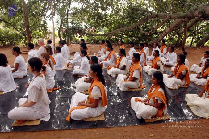 20061011 DSC 2132 CMP WM 0011.jpg