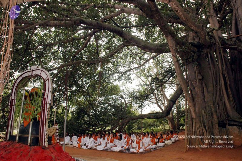 File:20061011 DSC 2167 CMP WM 0011.jpg