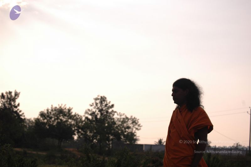 File:20061011 Photo 1014 1pv4UpBqS-2U0JYDWAvYWFF bpyEH4laS.JPG