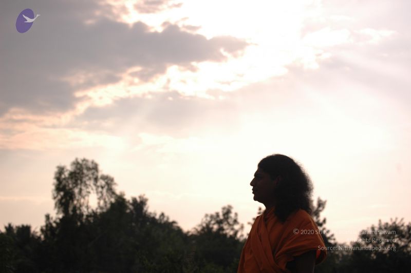 File:20061011 Photo 1016 1p2BNUQh2Rdx8DLRITA4pkK4fLZnWervc.JPG