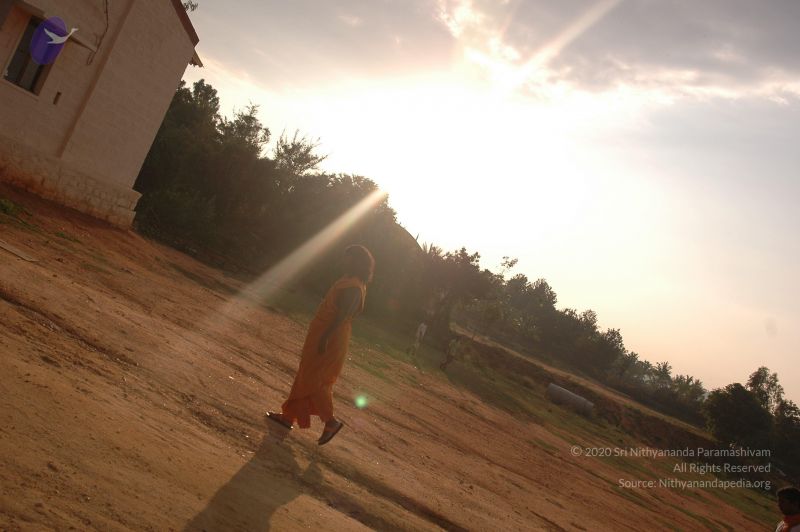 File:20061011 Photo 1053 1fILCAhna- V YyxnF84txDsSjdM5t2oj.JPG