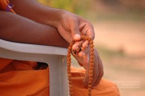 20061011 Photo 1081 1LCLNPH0GDAP p5B8UmIRat1fyz4wXLCD.JPG