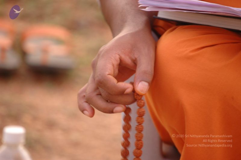 File:20061011 Photo 1099 1HJsFkjyFZ3jFu9s4Xl79t3tfBB0b3xvI.JPG