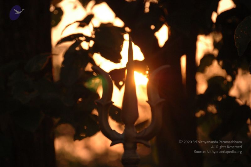 File:20061011 Photo 1111 1E4ZUXrCMRejSglxiftxYHJkjmy8AuS7v.JPG