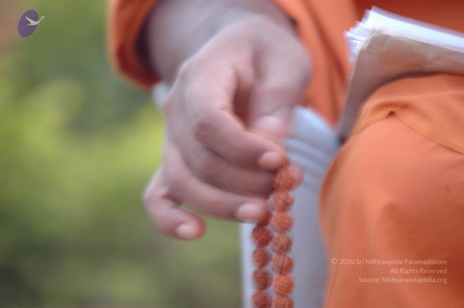 20061011 Photo 1126 1NOM061yiWmH8eQm6DFaGjcKRTOa7V33I.JPG