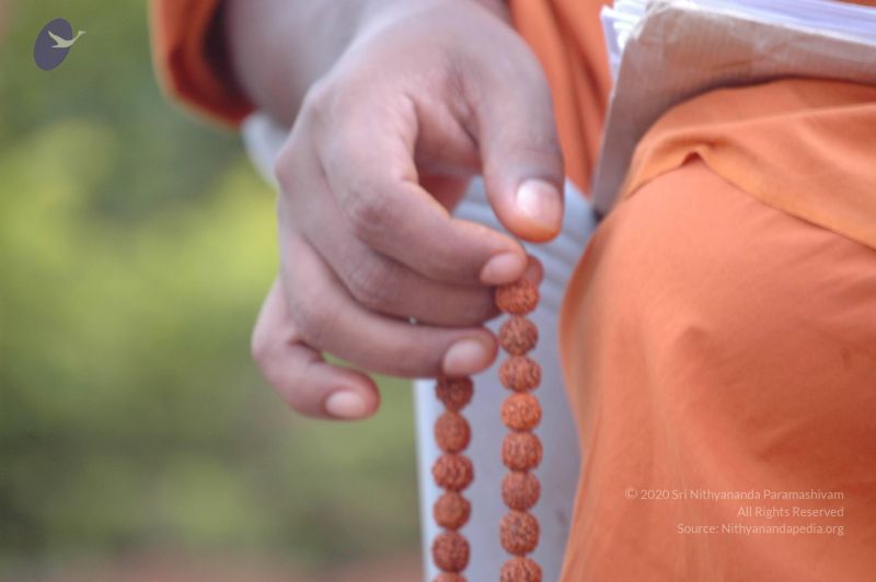 File:20061011 Photo 1128 1O4B wgXZX4-Y8tcJbDtUG5quAnLHmVEA.JPG