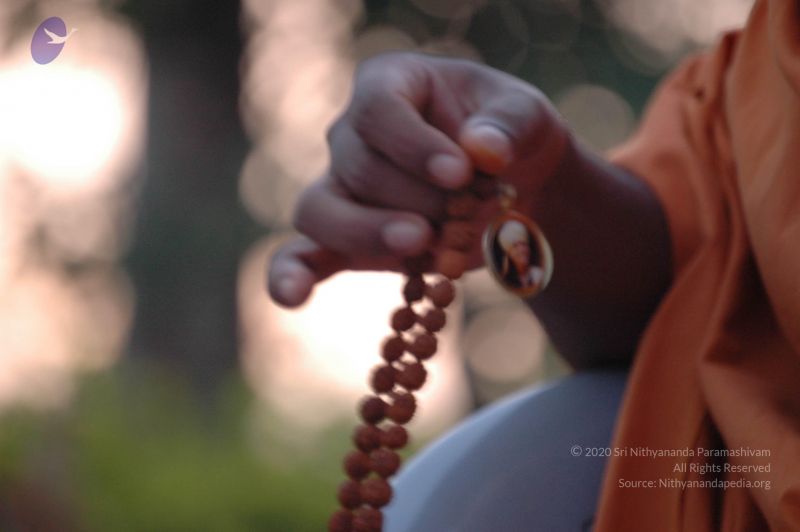 File:20061011 Photo 1129 1WjGa0lnd RodpHShL lZEdxdzOwIqiUG.JPG