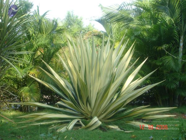 20061012 Photo 1029 13Oda6bDg3rOs9 xXAEDUUjce7nGAXzjR.JPG