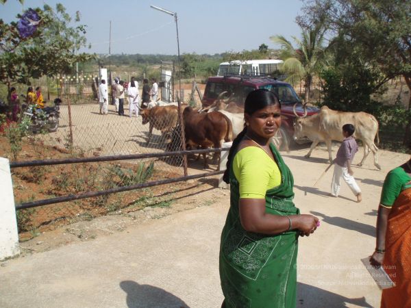2006101394 CMP WM.jpg
