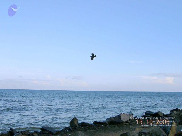 20061015 Photo 23 1N2jKiF4ZYZkKNUamxzbd8dcNAJdoSChT.jpg