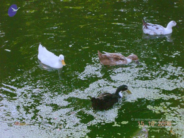 20061015 Photo 29 1c NKGq5w989sx6zu nbPCCJwb96a-EXp.jpg