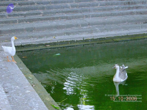 20061015 Photo 33 1qo32cQrtm0hResF4e1k5GCYpey3PU1Qh.jpg