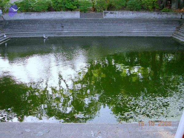 20061015 Photo 39 1fIUNT8eTp NsVBfA7ViNJZfez094 6ui.jpg