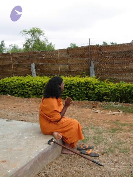 File:20061016 Photo 1000 1RSS3L50VSdVGA89cBZRIk-JMGJb8srKf.JPG