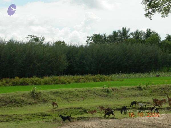 20061016 Photo 1002 11ikTQolu9GUpJJwKbnmrsWiKc8X TX5z.JPG