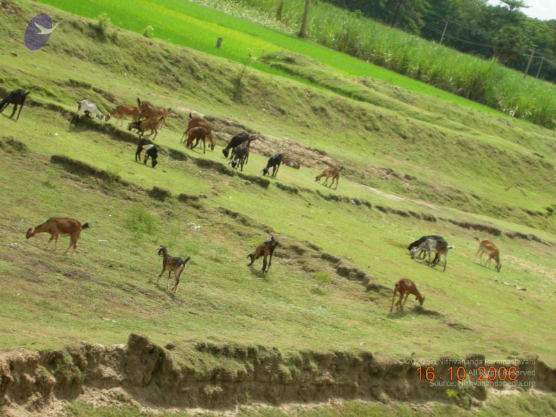 File:20061016 Photo 1003 1PkujshiHiTx8SMiwhedjjnIOmLqRDeUI.JPG