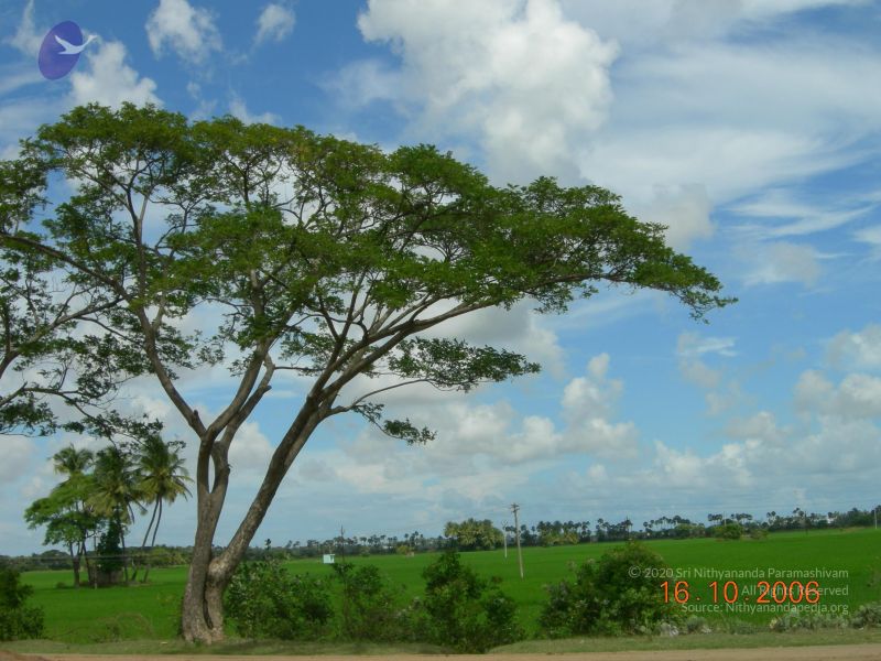 File:20061016 Photo 1006 1j48Sr2Rq6pWSt1DTeQmpWvZpwSHfSk5h.JPG