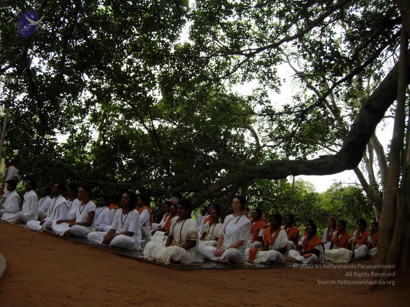 File:20061016 Photo 1022 1XSd3HhWkfXLcozcyaRfRdaIz7upJmHf2.JPG