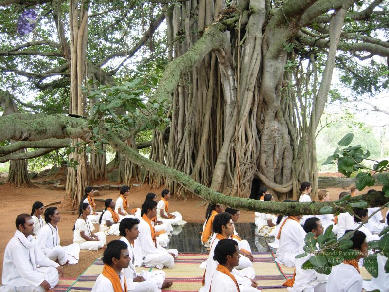 File:20061016 Photo 1025 1 -k3Hm8uvm476CQKF4kC2eWVq3CfHVmL.JPG