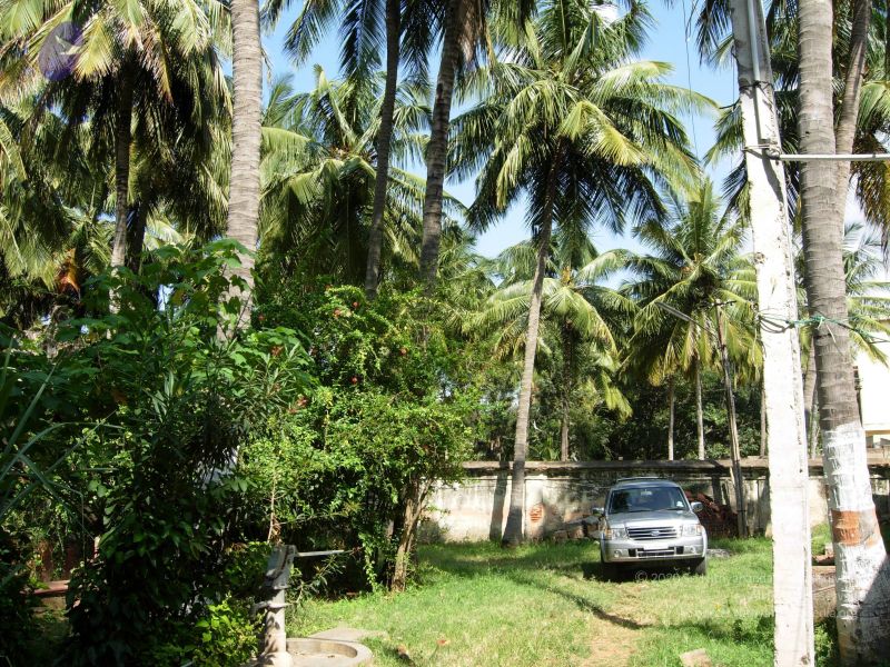 File:20061016 Photo 1035 1hxcSMbSOVhbB6eJUacm0m2t7x 0Wdr2U.JPG