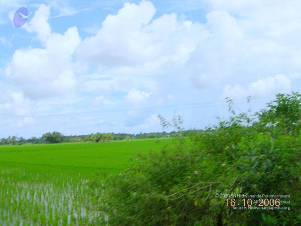 20061016 Photo 14 1mZdlSfl3eGmtHT1COXpzfIMF-0d62LLD.jpg