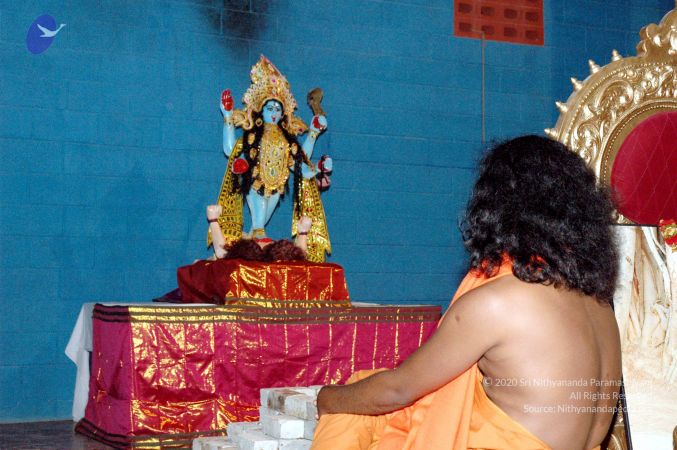 20061019 DSC 6679 CMP WM01.jpg