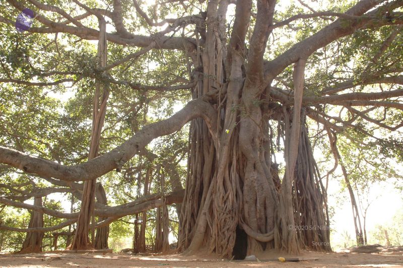 File:20061024 Photo 1033 1YOoI3H7TmBjeBYiXeTQ4shgQqEOTYXRg.JPG