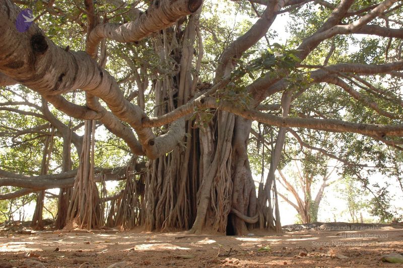 File:20061024 Photo 1034 1QxZbLgi33KX -vTCjj976NL7nzByQ70r.JPG